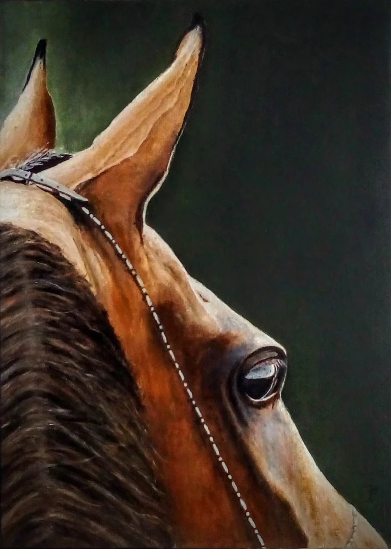 Photo peinture cheval